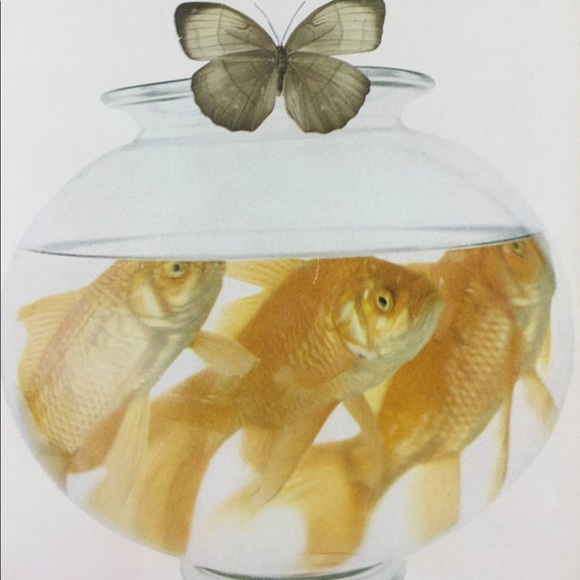 ! 1 Page/2 Sides from VTG 1951 Photo Book, Goldfish & Moth, Danny Kaye & Symbols - Picture 3 of 4